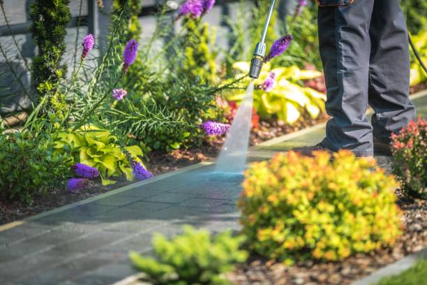 Reliable Citrus Park, FL  Pressure Washing Services Solutions
