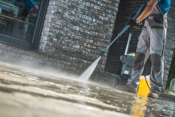 Best Building Exterior Washing  in Citrus Park, FL