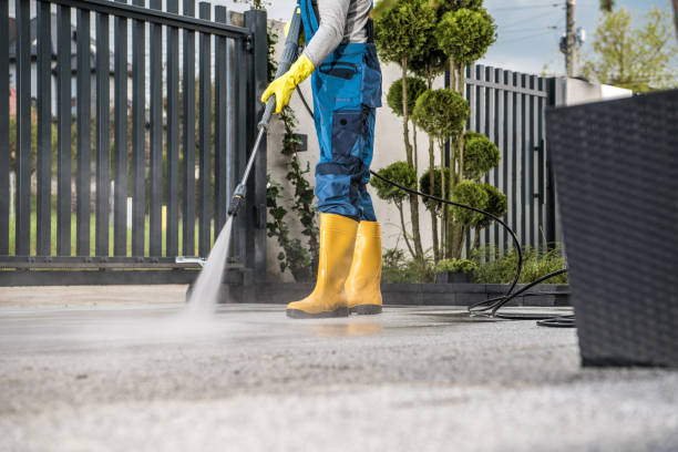 Best Residential Exterior Washing  in Citrus Park, FL