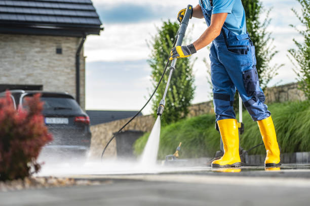 Best Building Exterior Washing  in Citrus Park, FL